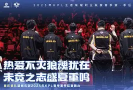 爱游戏官网-关于Karsa意外战胜独行侠，晋级下一阶段引爆全场！的信息